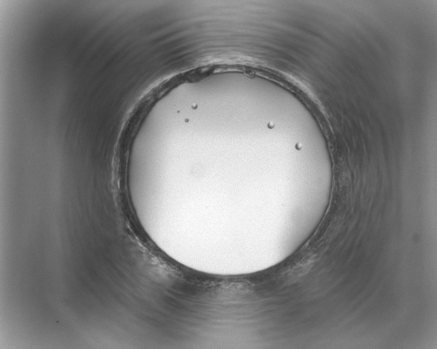 X0000074260979200609222146