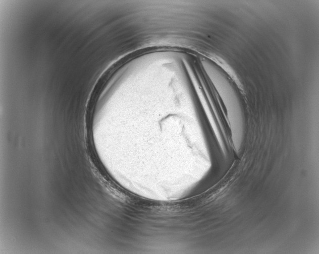 X0000074260980200609222146