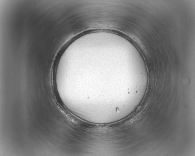 X0000074260982200609222146