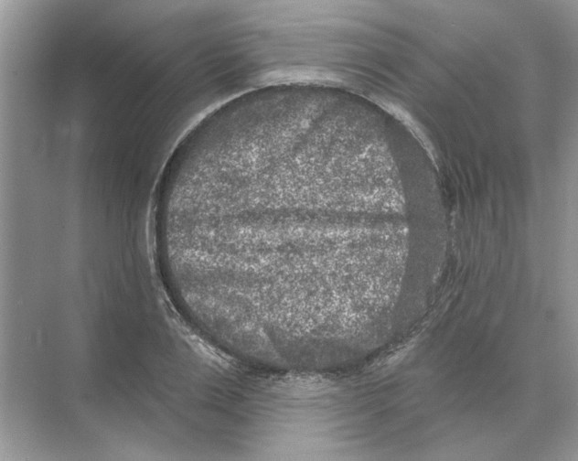 X0000074260983200609222146