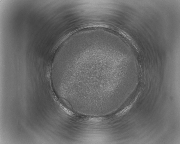 X0000074260985200609222146