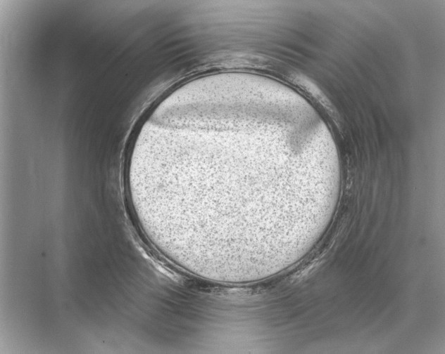 X0000074260986200609222146