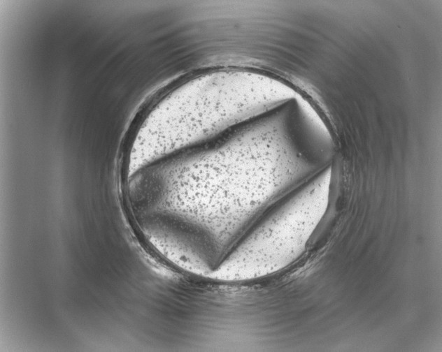 X0000074260987200609222146