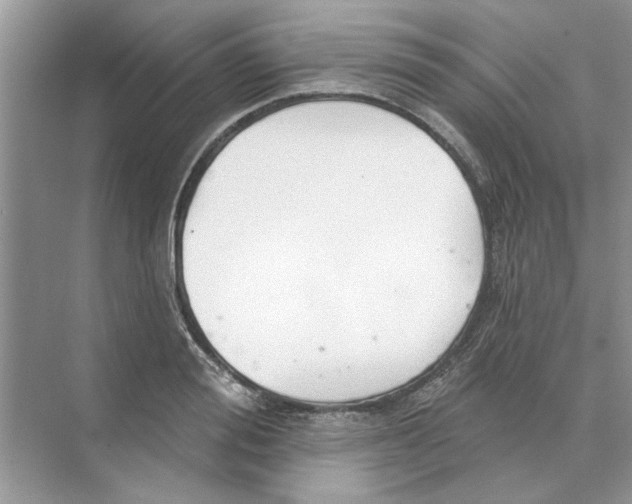 X0000074260988200609222146