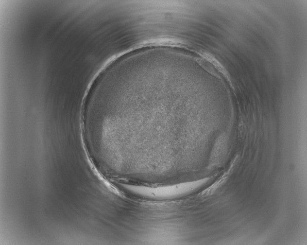 X0000074260989200609222146