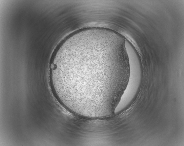 X0000074260992200609222146