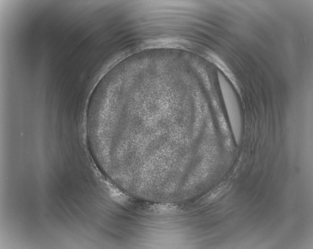 X0000074260994200609222146