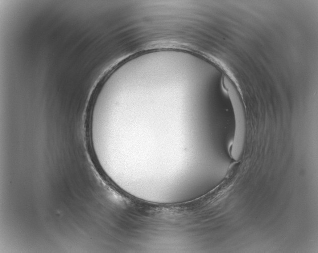 X0000074260995200609222146