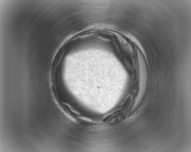 X0000074260997200609222146