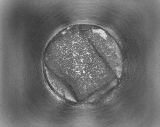 X0000074260998200609222146