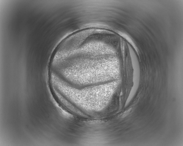 X0000074260999200609222146