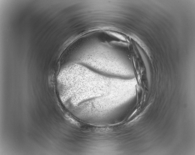 X0000074261001200609222146