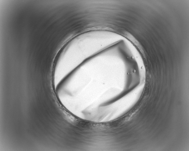 X0000074261002200609222146