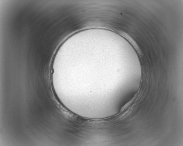 X0000074261004200609222146