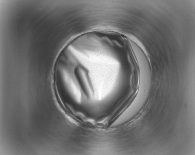 X0000074261005200609222146