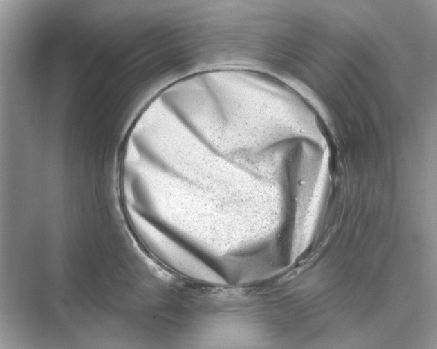 X0000074261006200609222146