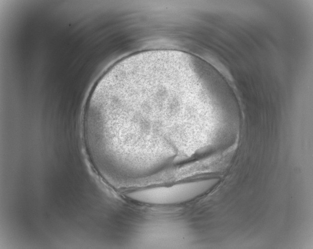 X0000074261008200609222146