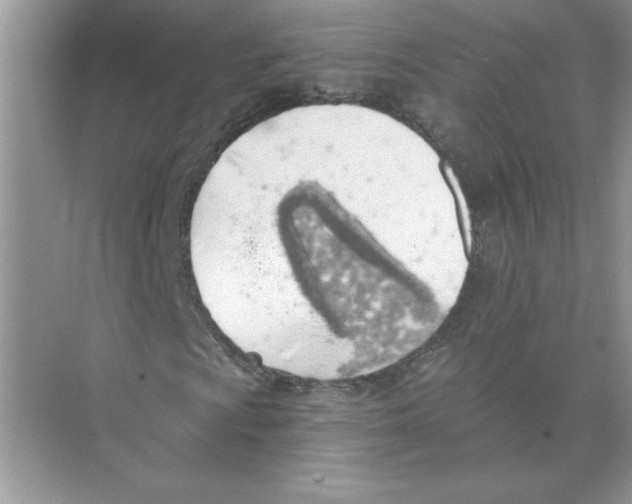 X0000074261009200609222145