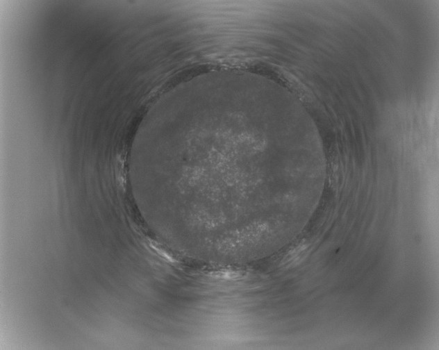 X0000074261010200609222145