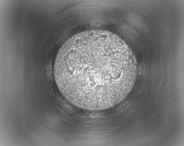 X0000074261011200609222145