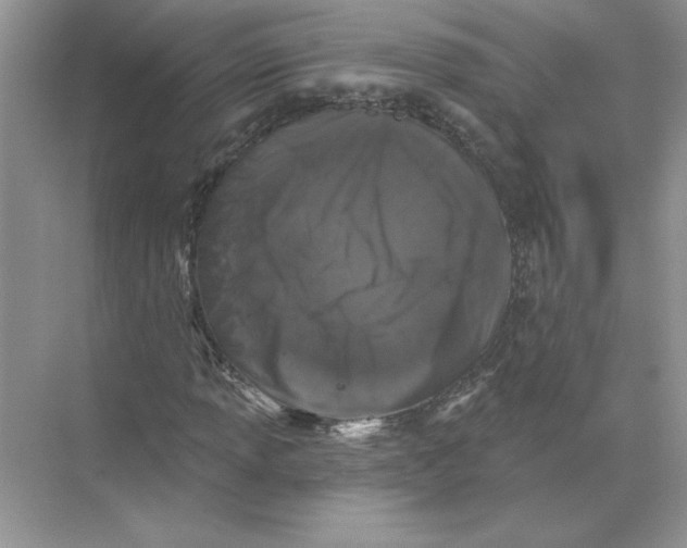 X0000074261013200609222145