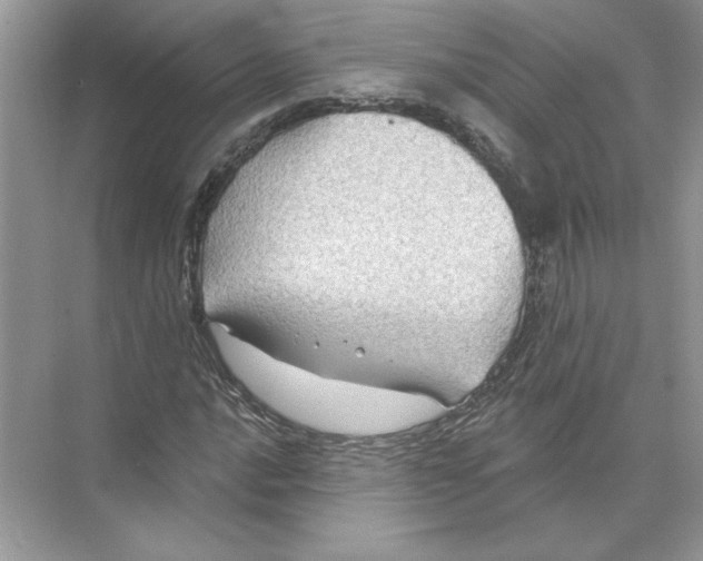 X0000074261016200609222145