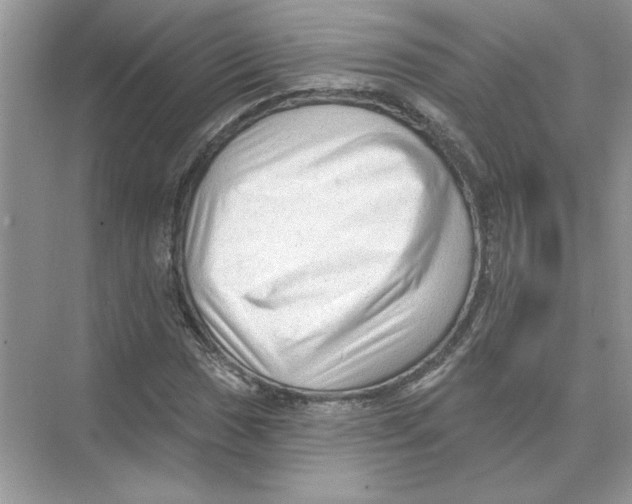 X0000074261017200609222145