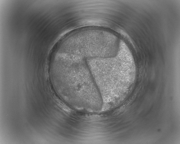 X0000074261019200609222145