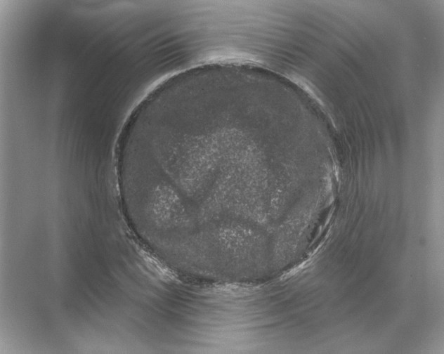 X0000074261022200609222145