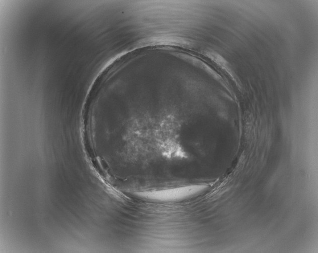 X0000074261024200609222145