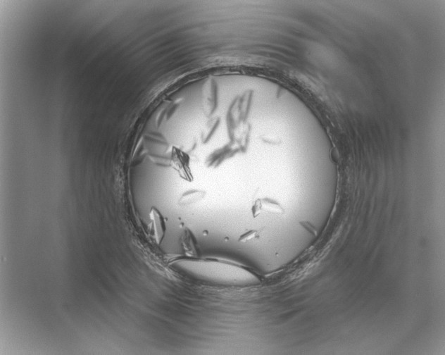 X0000074261025200609222145