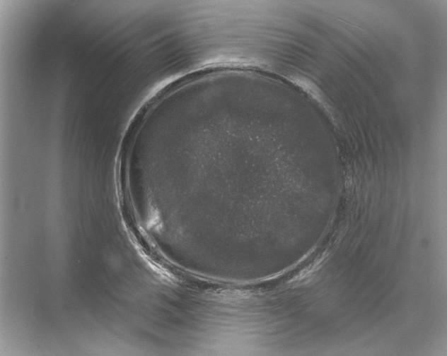 X0000074261030200609222145