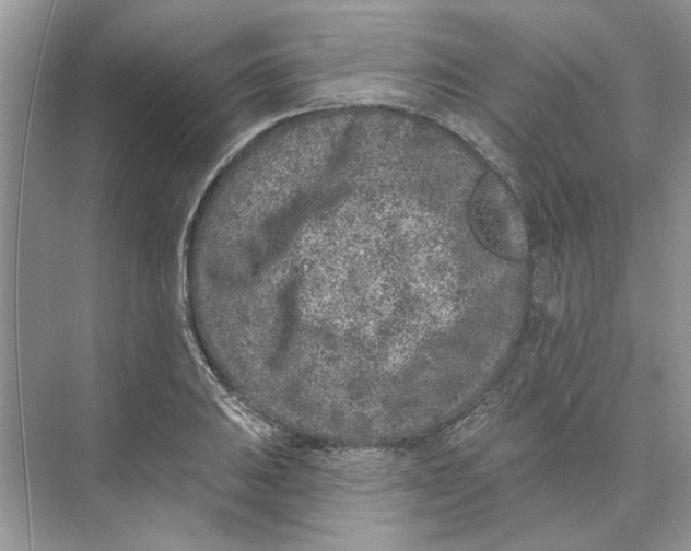 X0000074261031200609222145