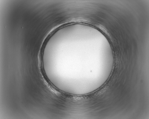 X0000074261032200609222145