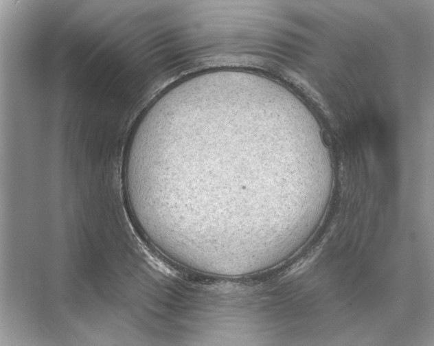 X0000074261033200609222145