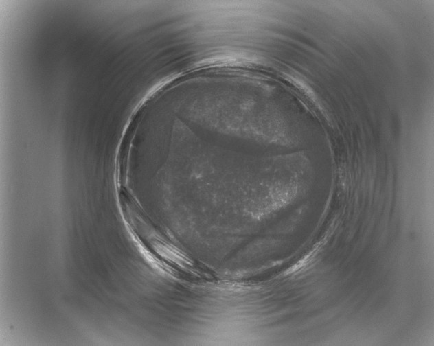 X0000074261034200609222145