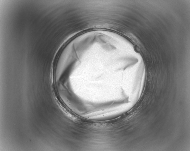 X0000074261036200609222146