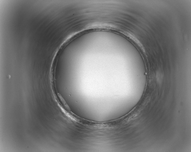 X0000074261037200609222146