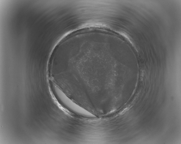 X0000074261038200609222146