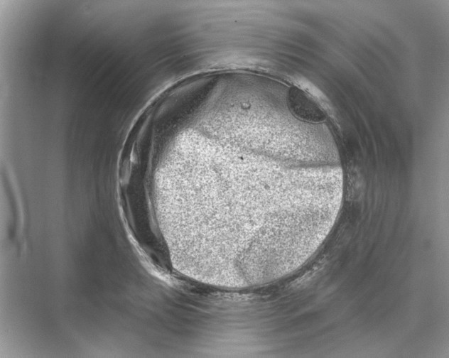 X0000074261039200609222146