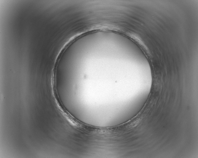 X0000074261040200609222146