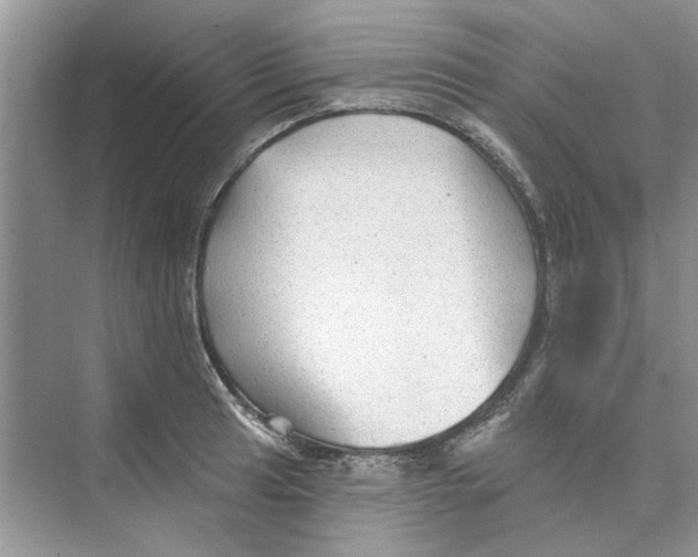 X0000074261041200609222146