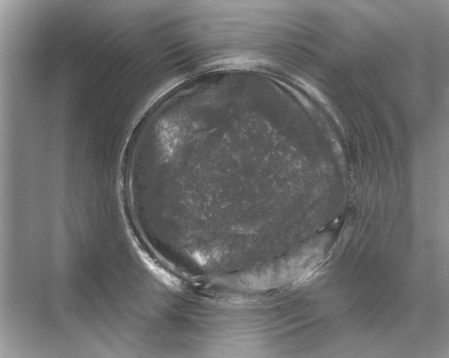 X0000074261042200609222146