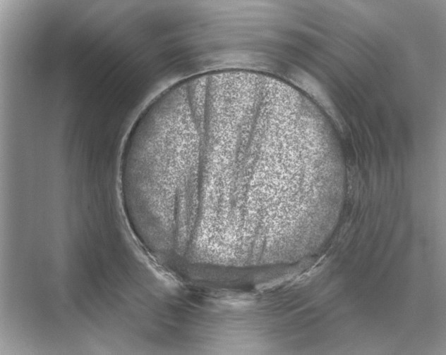 X0000074261043200609222146