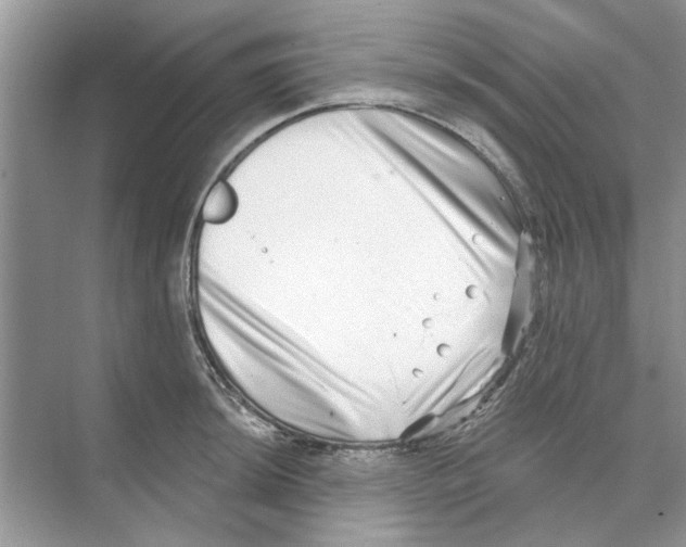 X0000074261044200609222146