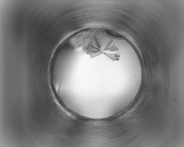 X0000074261045200609222146