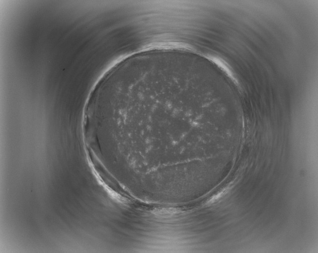 X0000074261046200609222146