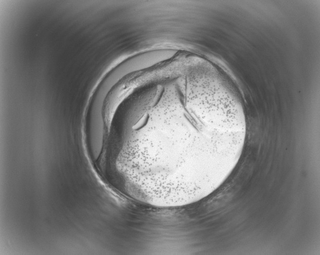 X0000074261048200609222146