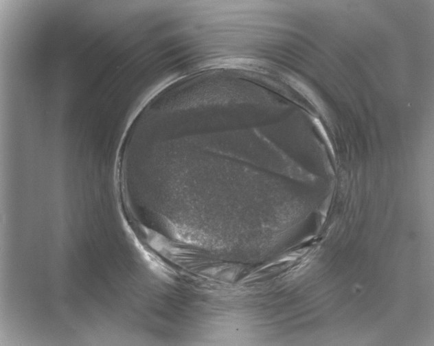 X0000074261050200609222146