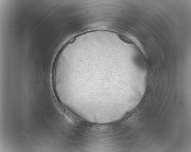 X0000074261051200609222146